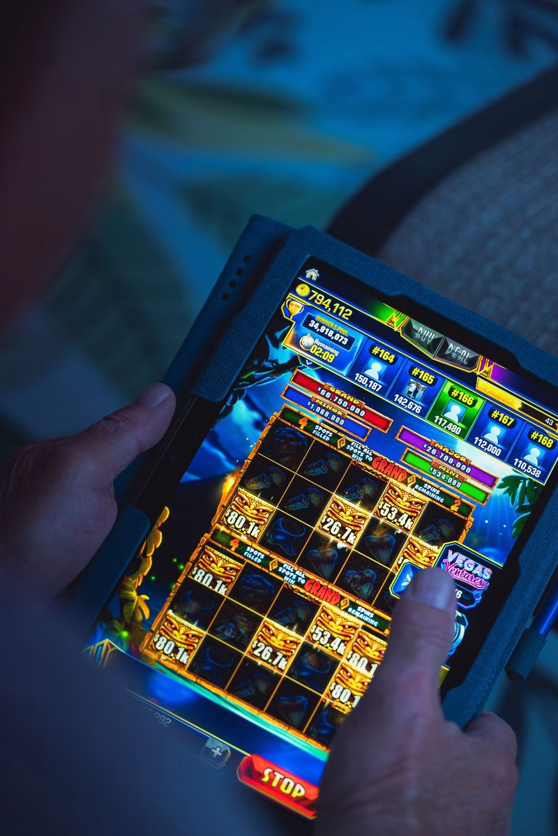 Kingdom casino uk login, kingdom casino uk